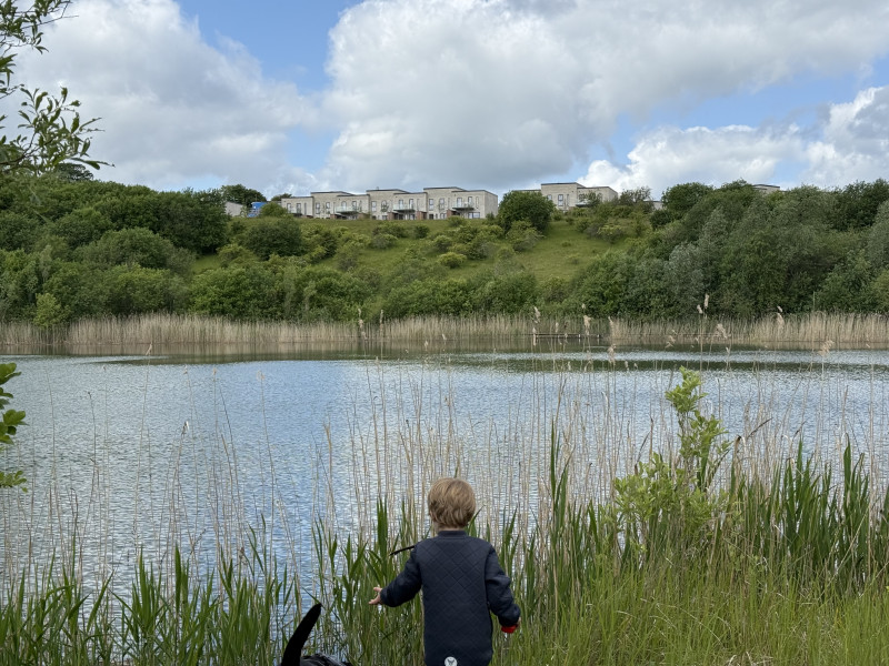 Julemosegård fællesskab